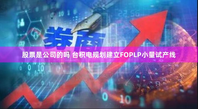 股票是公司的吗 台积电规划建立FOPLP小量试产线