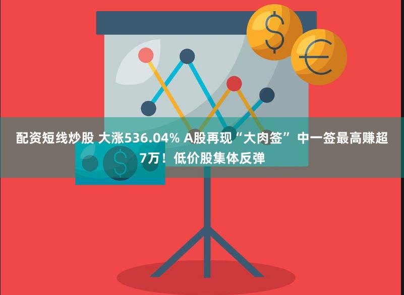 配资短线炒股 大涨536.04% A股再现“大肉签” 中一签最高赚超7万！低价股集体反弹