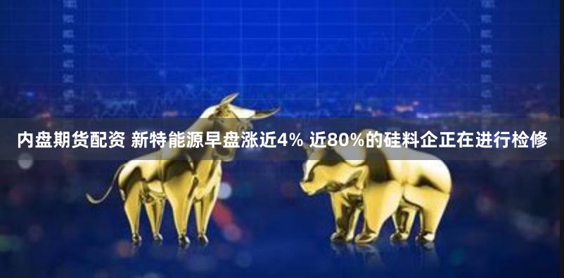 内盘期货配资 新特能源早盘涨近4% 近80%的硅料企正在进行检修