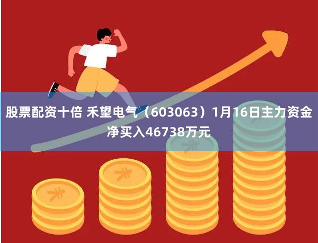 股票配资十倍 禾望电气（603063）1月16日主力资金净买入46738万元