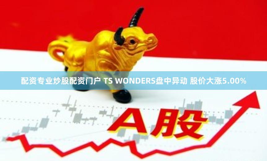 配资专业炒股配资门户 TS WONDERS盘中异动 股价大涨5.00%