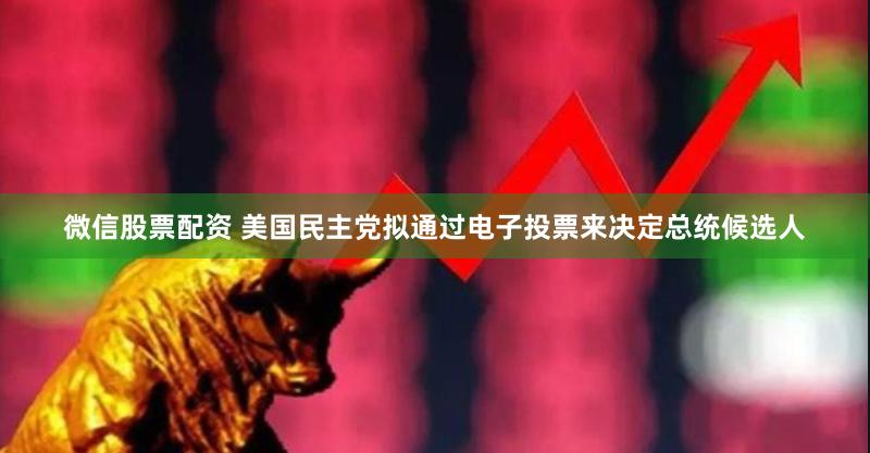 微信股票配资 美国民主党拟通过电子投票来决定总统候选人