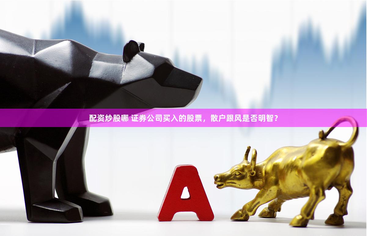 配资炒股哪 证券公司买入的股票,散户跟风是否明智?