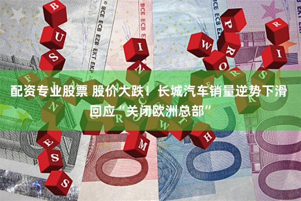 配资专业股票 股价大跌！长城汽车销量逆势下滑 回应“关闭欧洲总部”